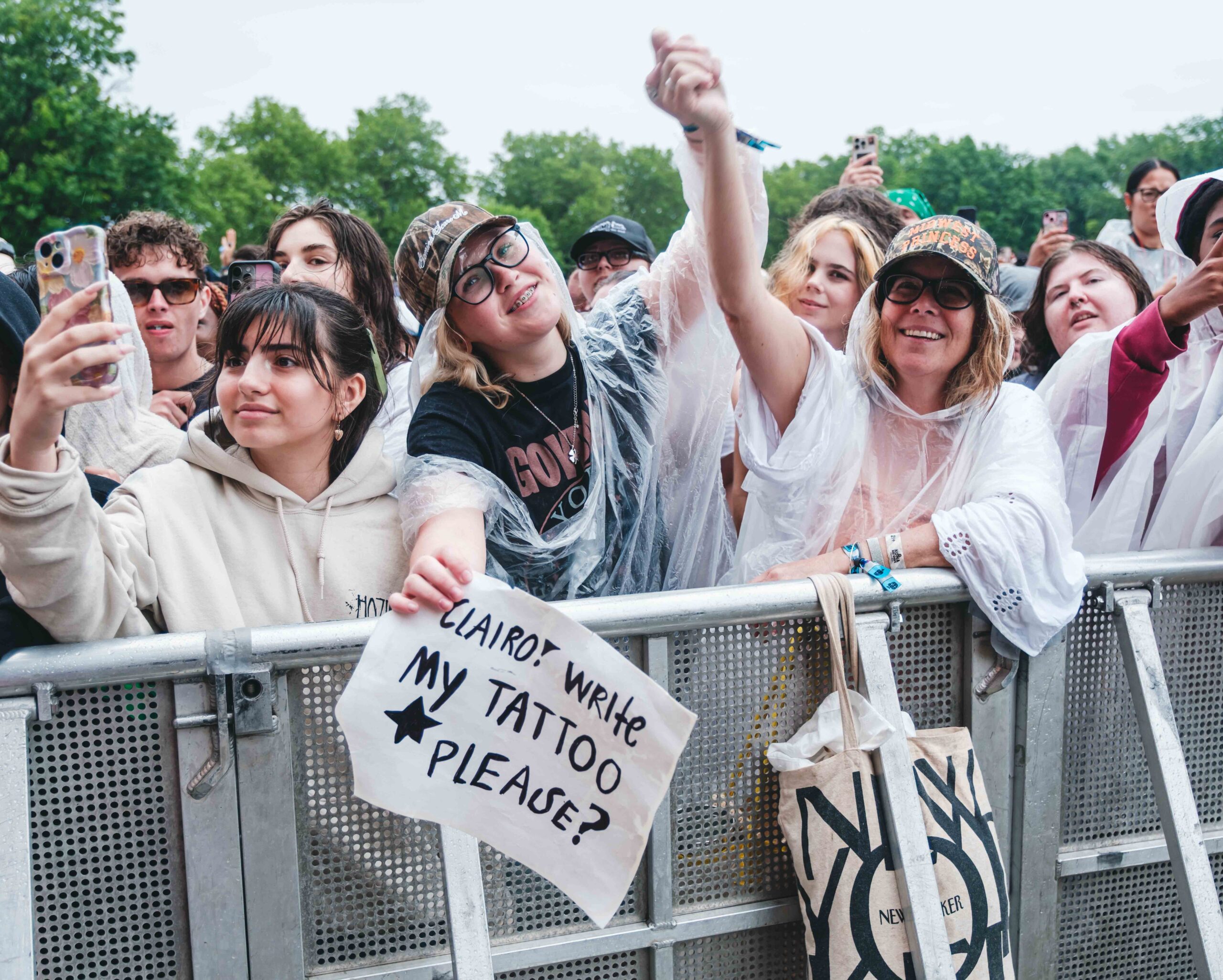 Gov Ball crowd